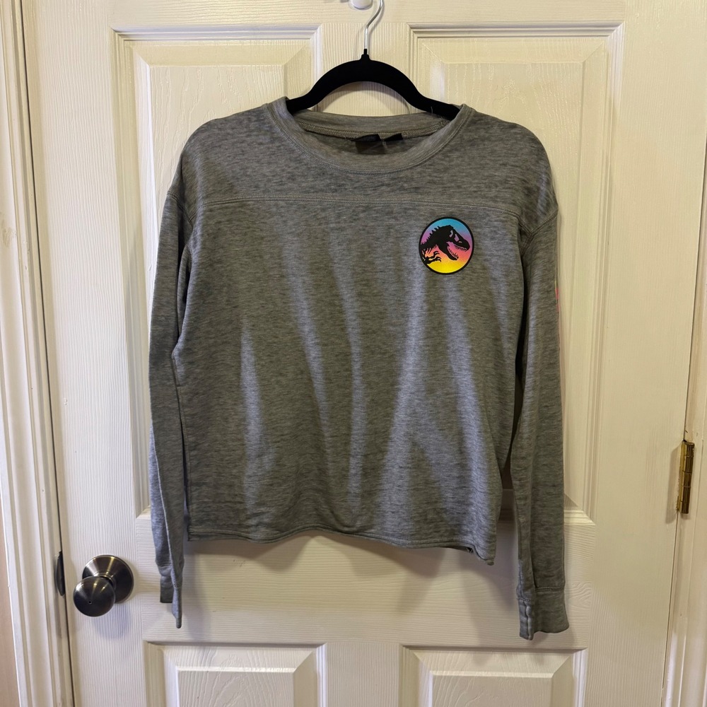 Jurassic World Womens Gray Long Sleeve Graphic T-Rex Pullover Top Size M
